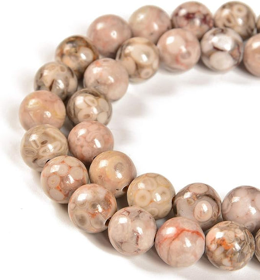 60pcs 6mm Natural Flowery Cowry Fossil Gemstone Round Spacer Loose Stone Beads for Jewelry Making 15.5" 1 Strand (Flowery Cowry Fossil, 6mm 60Beads)