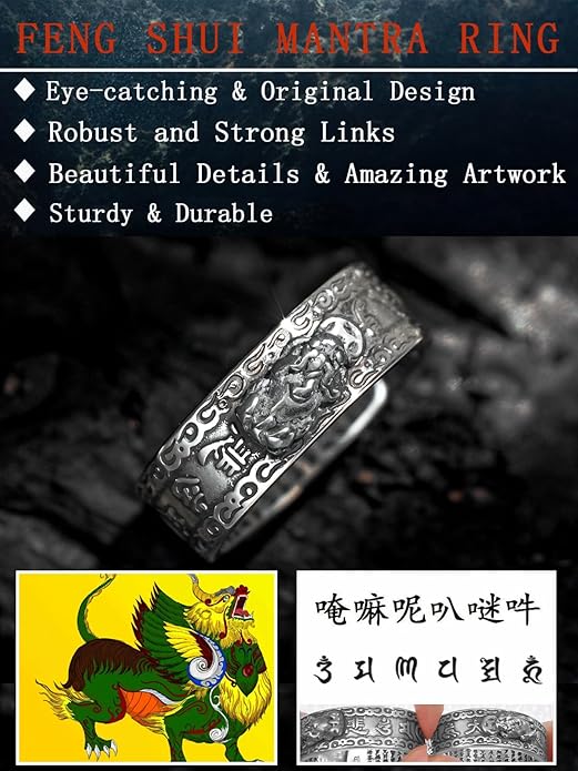 Seiyang Feng Shui Ring 925 Stering Silver Pixiu Mantra Ring Protection Wealth Adjustable Rings Gift for Men Women (with Gift Box)