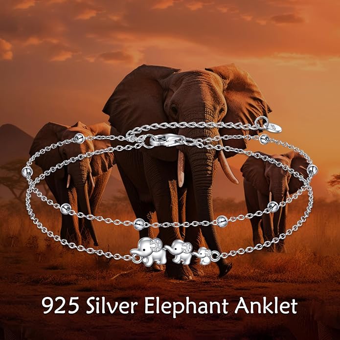 TIGER RIDER Dragonfly Anklet Sterling Silver Dragonfly Gifts Jewelry for Women with Crystal Birthday Anniversary