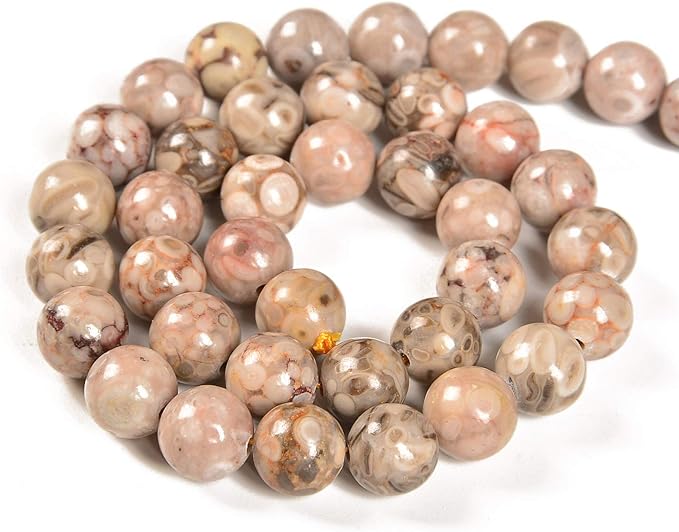 36pcs 10mm Natural Flowery Cowry Fossil Gemstone Round Spacer Loose Stone Beads for Jewelry Making 15.5" 1 Strand (Flowery Cowry Fossil, 10mm 36Beads)