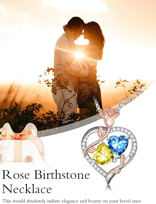 Jewelry for Her Double Heart Rose Birthstone Pendant Necklace Anniversary Jewelry Christmas Birthday Gifts for Women Wife Girlfriend