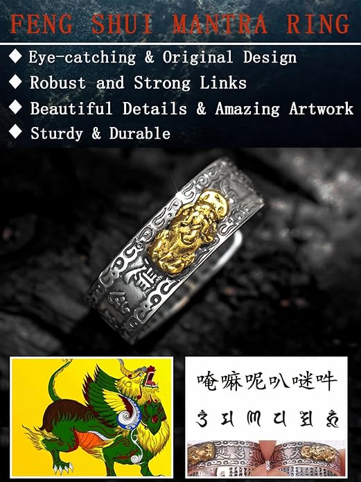 Seiyang Feng Shui Ring 925 Stering Silver Pixiu Mantra Ring Protection Wealth Adjustable Rings Gift for Men Women (with Gift Box)